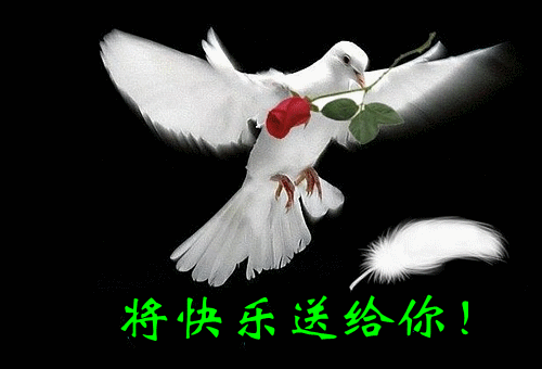 将快乐送给您！
