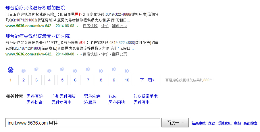 最近一天收录情况