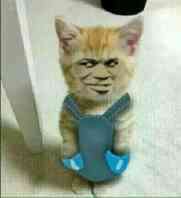 webwxgetmsgimg (1).jpg