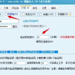 远程打码如何开启？