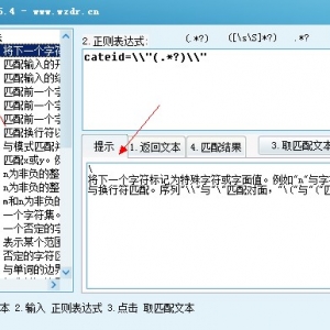 错误正则表达式写法