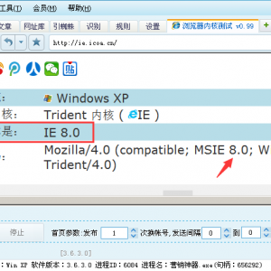 内置浏览器WebBrowser内核版本修改（IE内核版本修改）